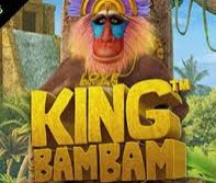 Обзор слота King Bam Bam